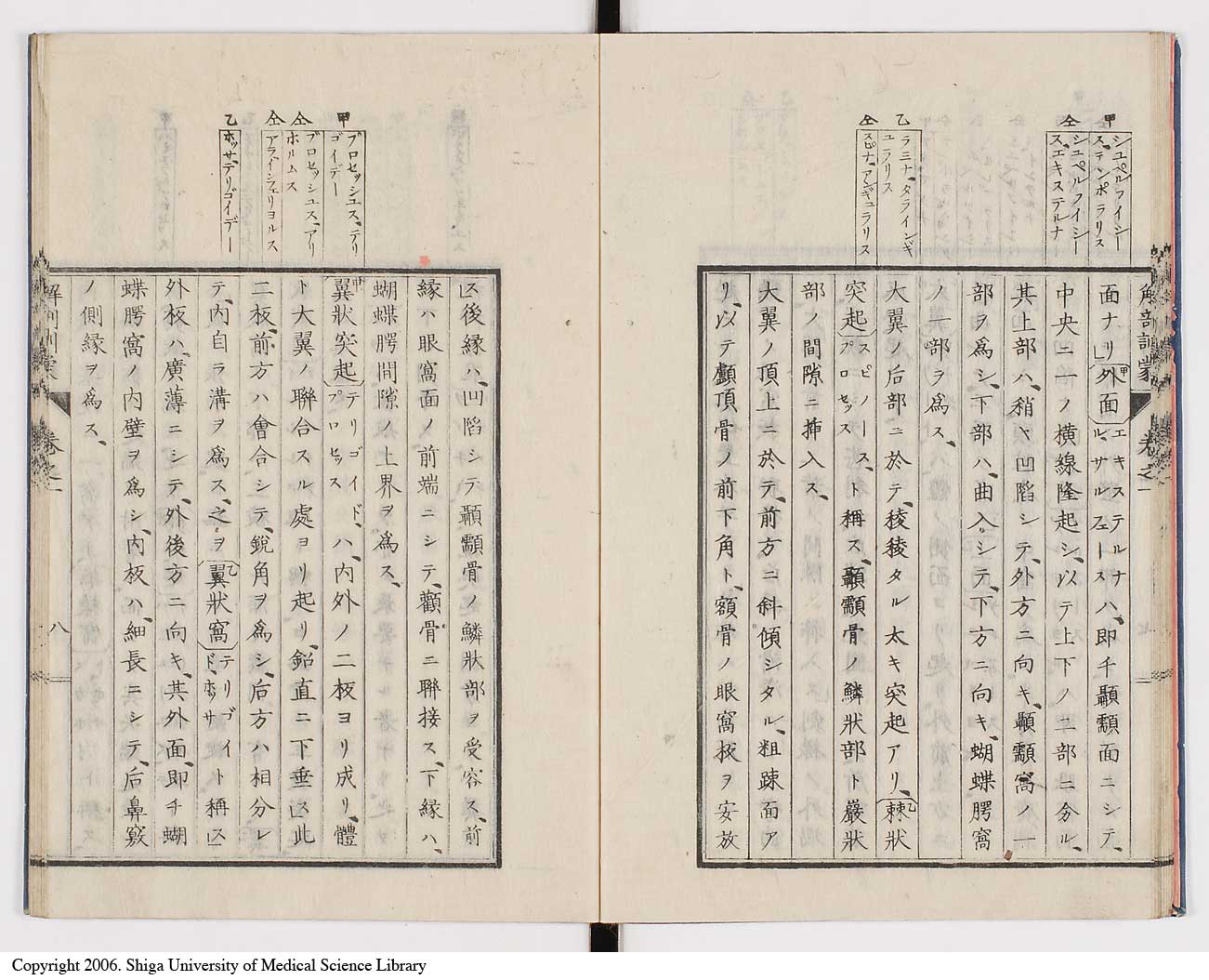 K0021l0017
