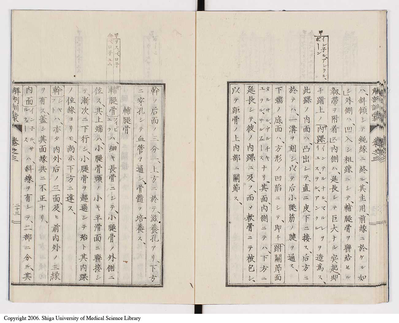 K0021l0091