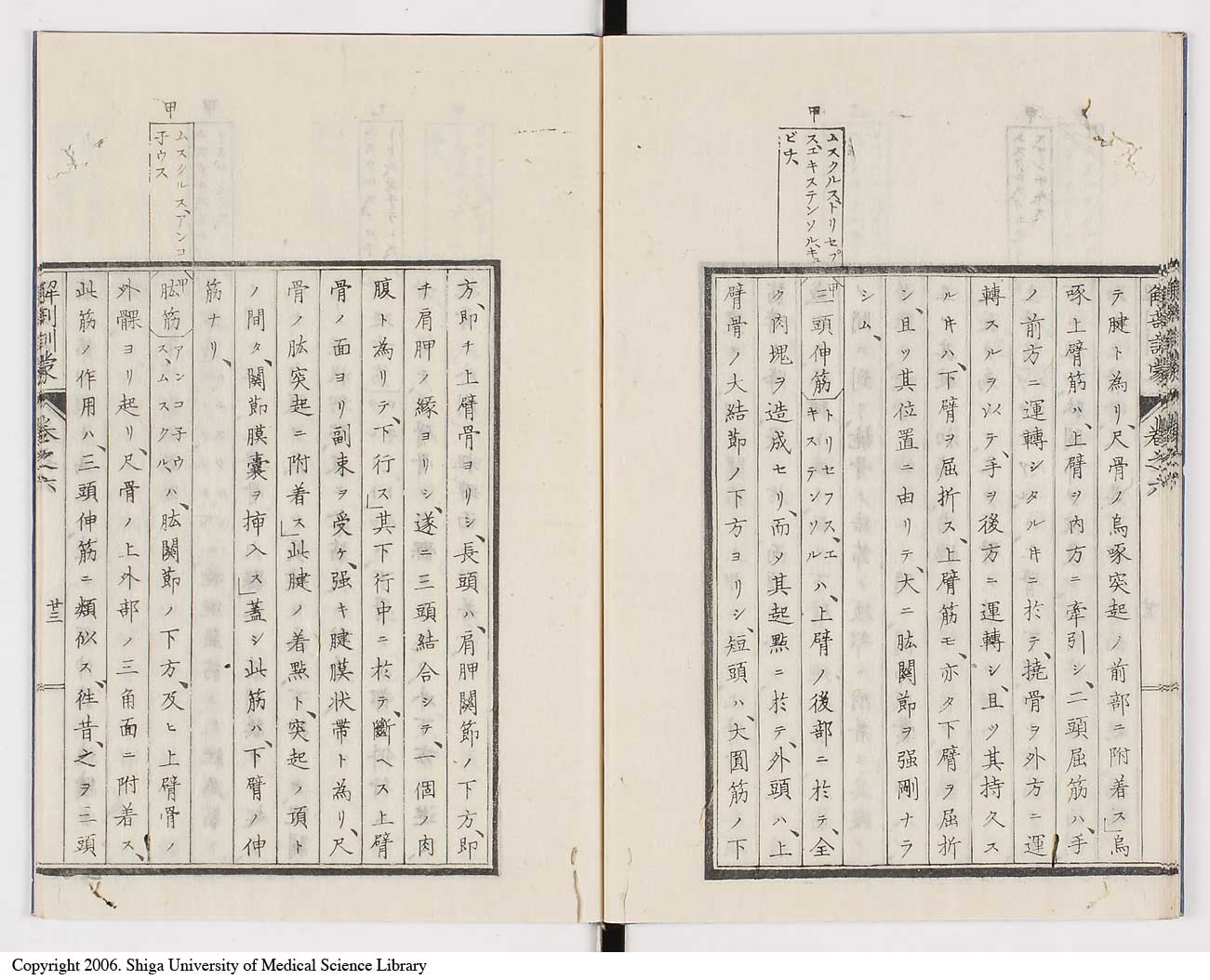 K0021l0195