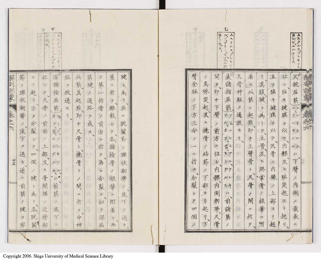 K0021l0197