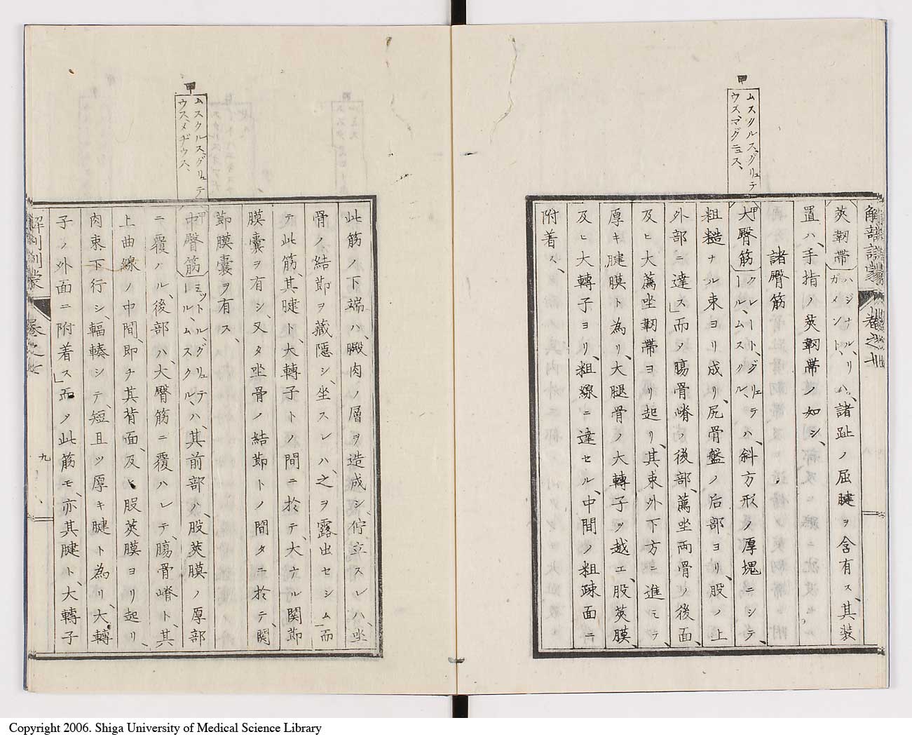 K0021l0215