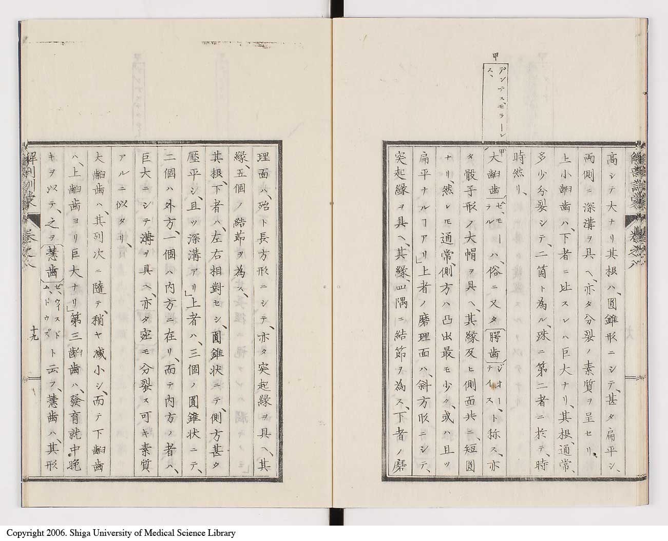 K0021l0252
