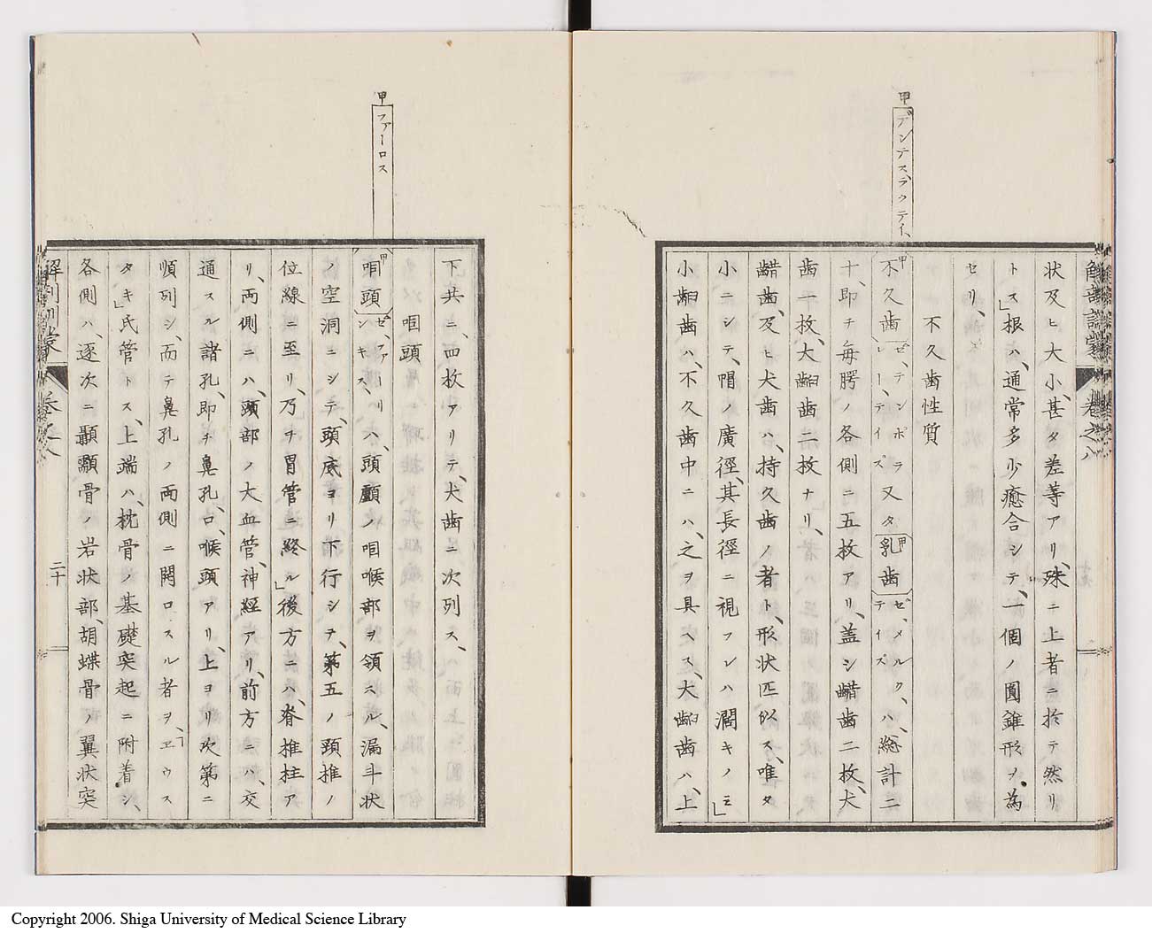 K0021l0253