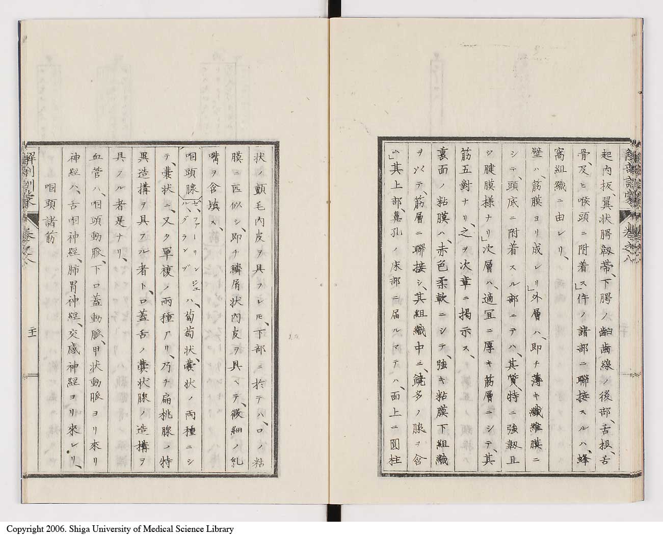K0021l0254