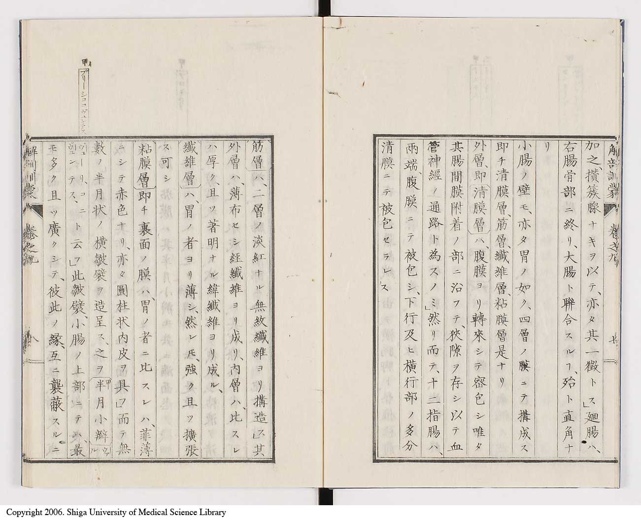 K0021l0278