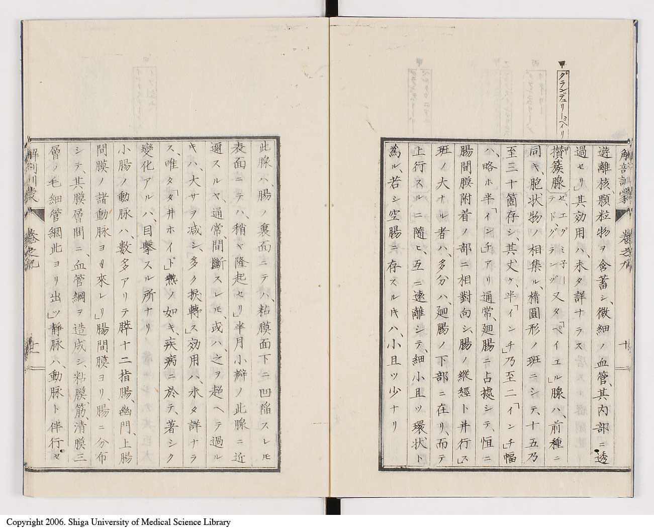 K0021l0281