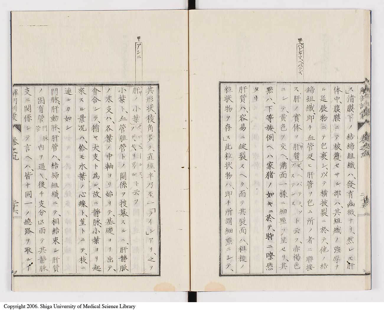 K0021l0295