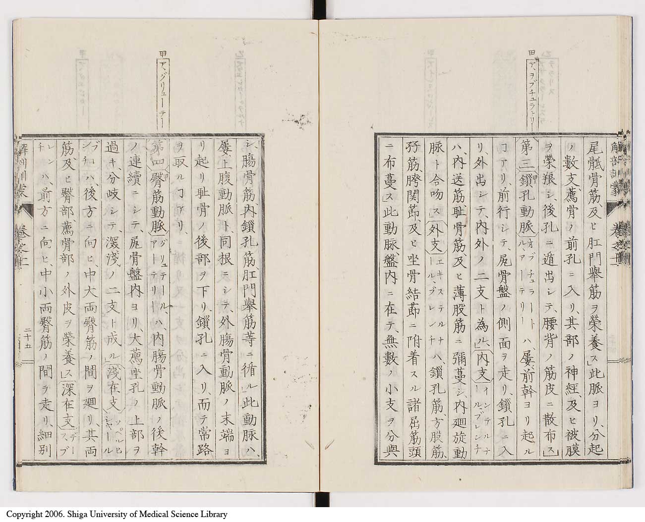 K0021l0368