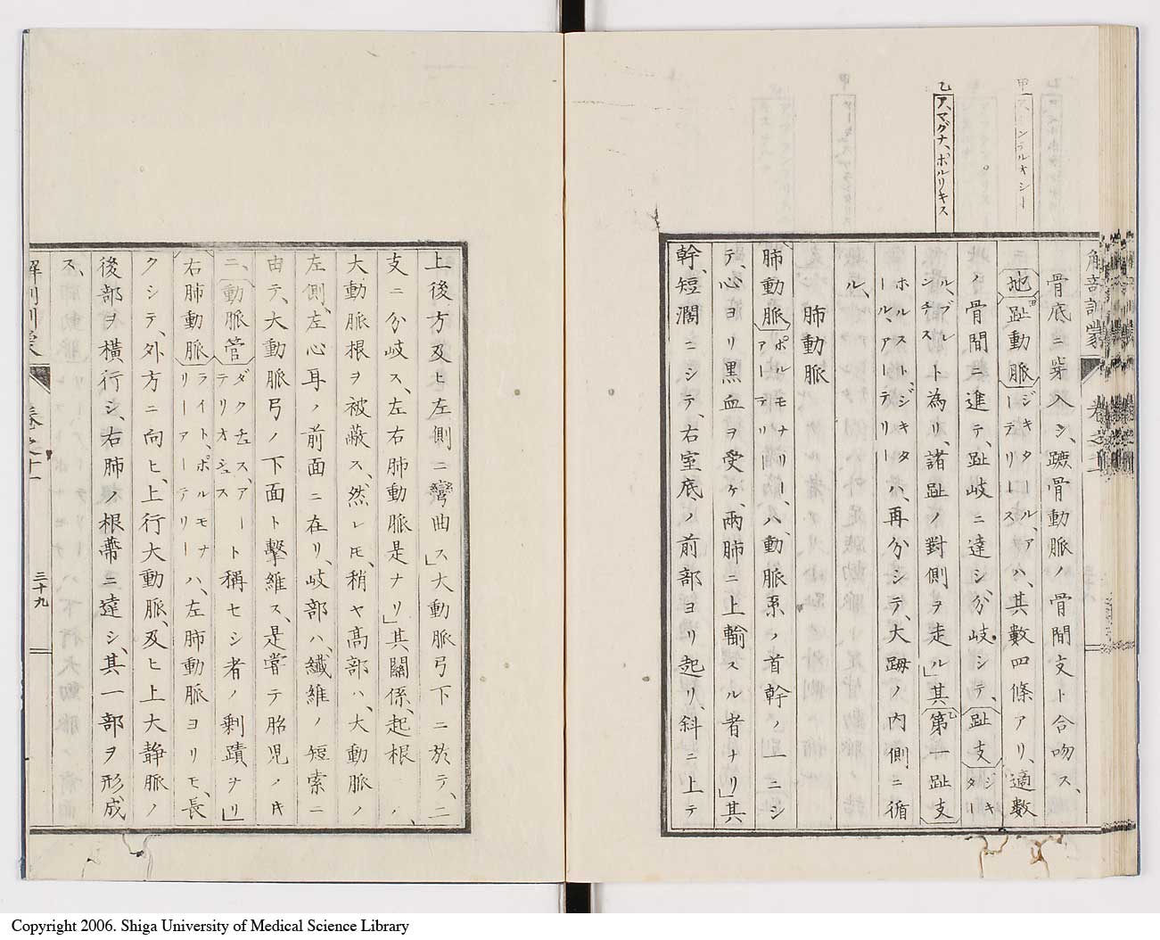 K0021l0382