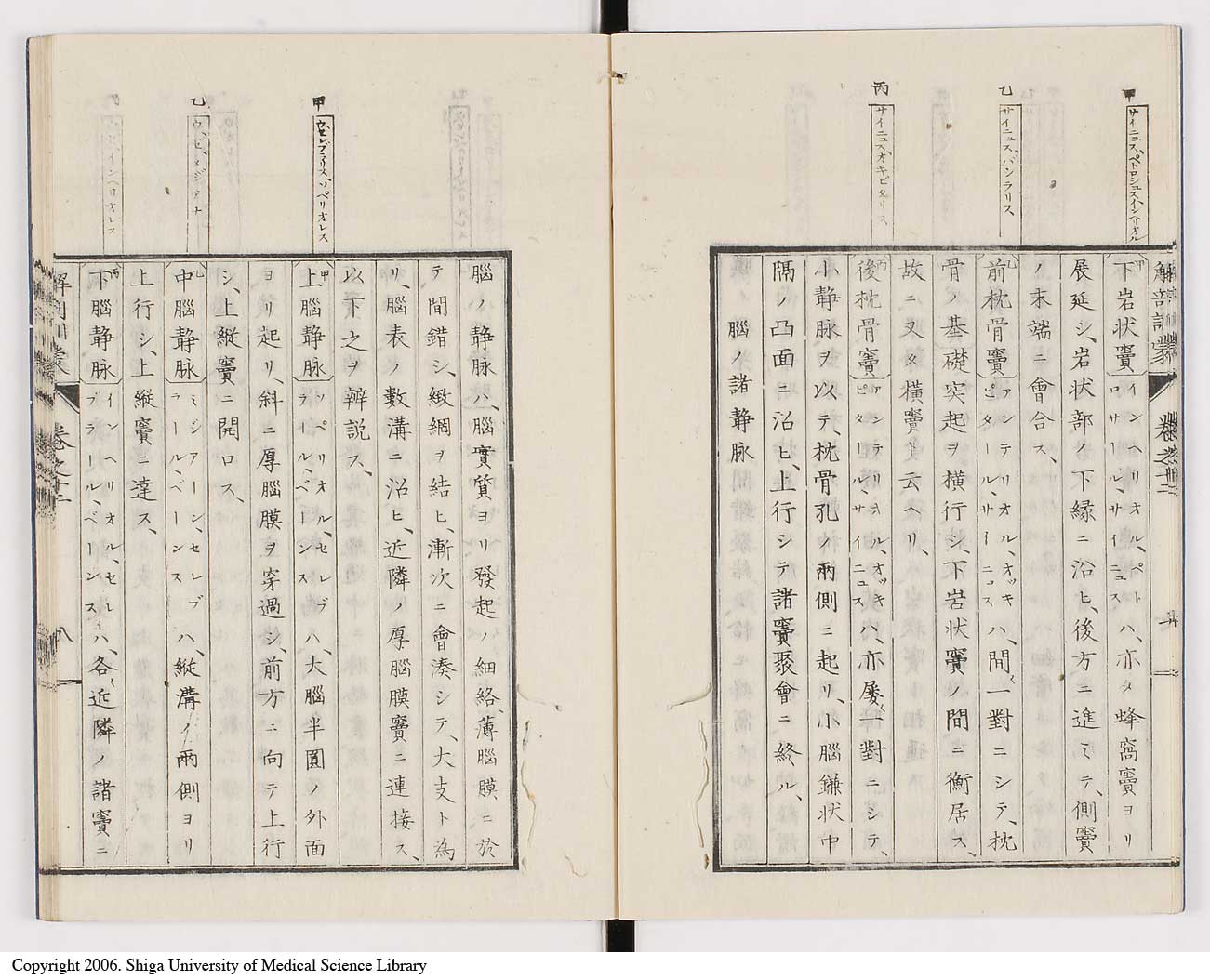 K0021l0393