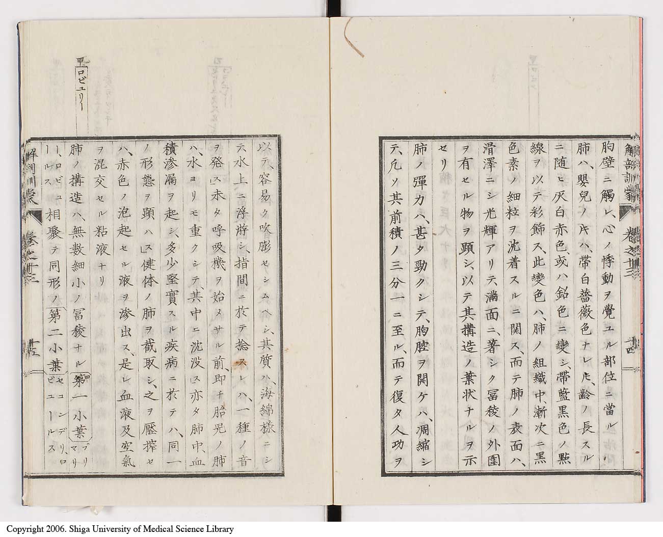 K0021l0446