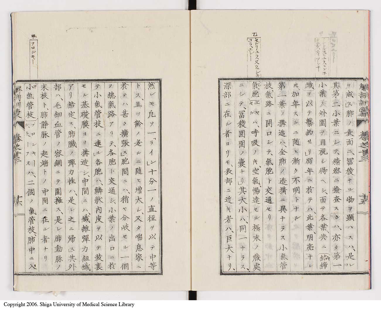 K0021l0447