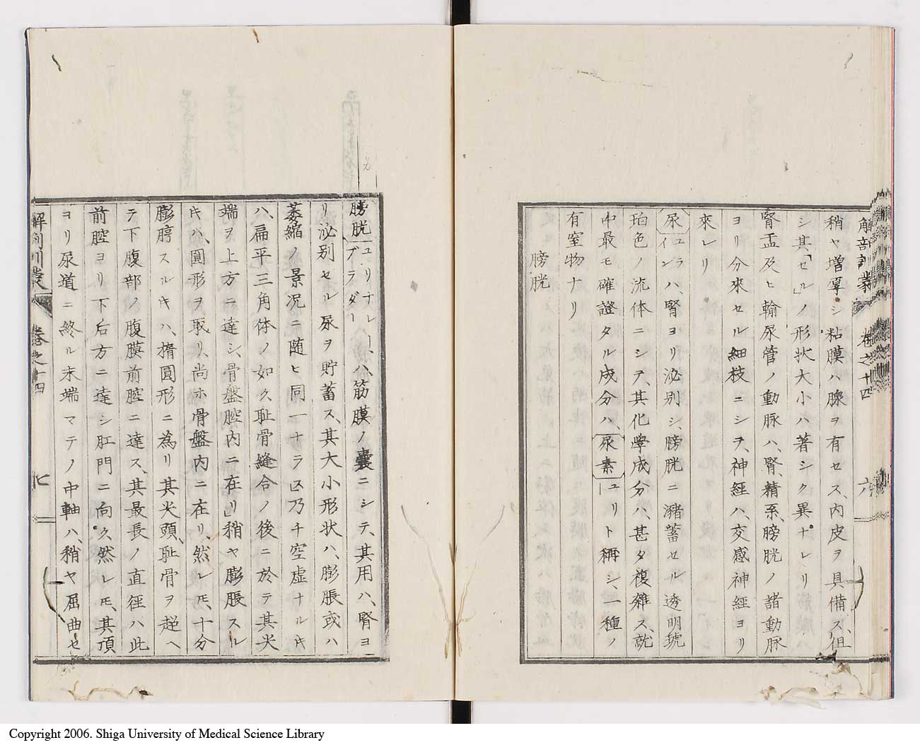 K0021l0460