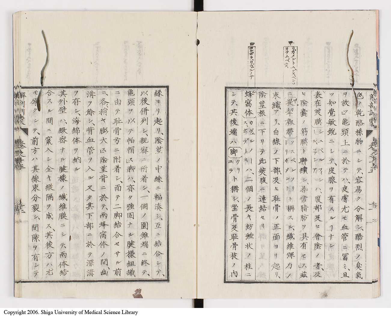 K0021l0482