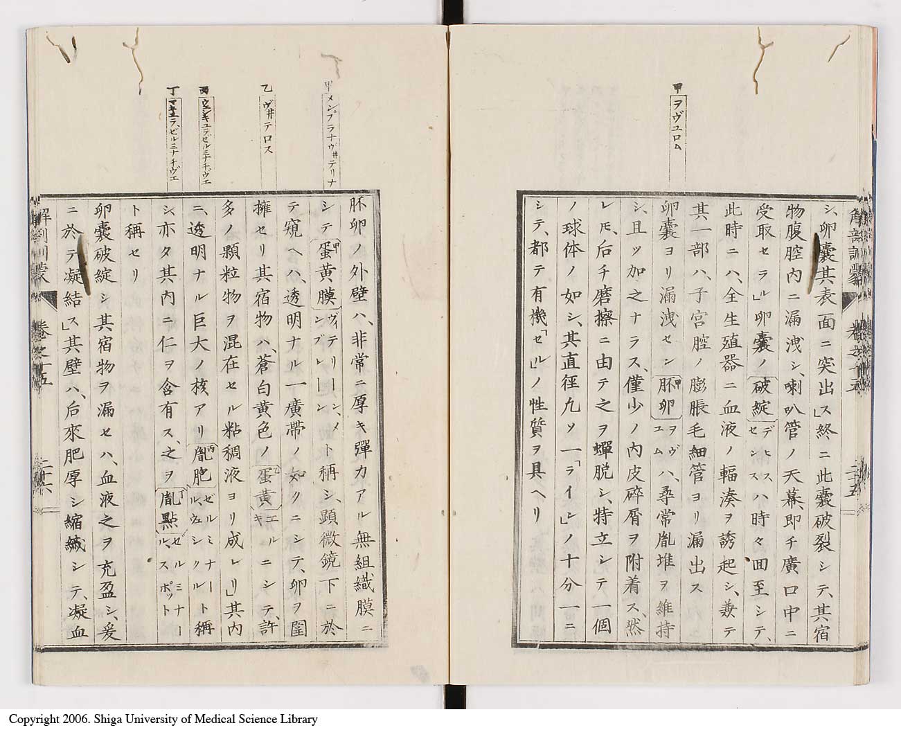 K0021l0496