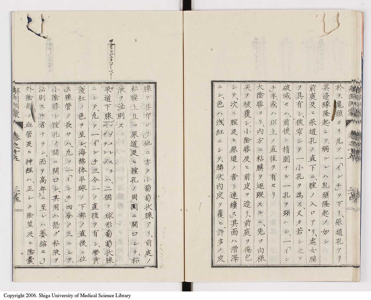 K0021l0505
