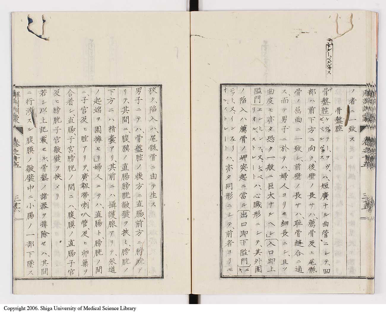 K0021l0506