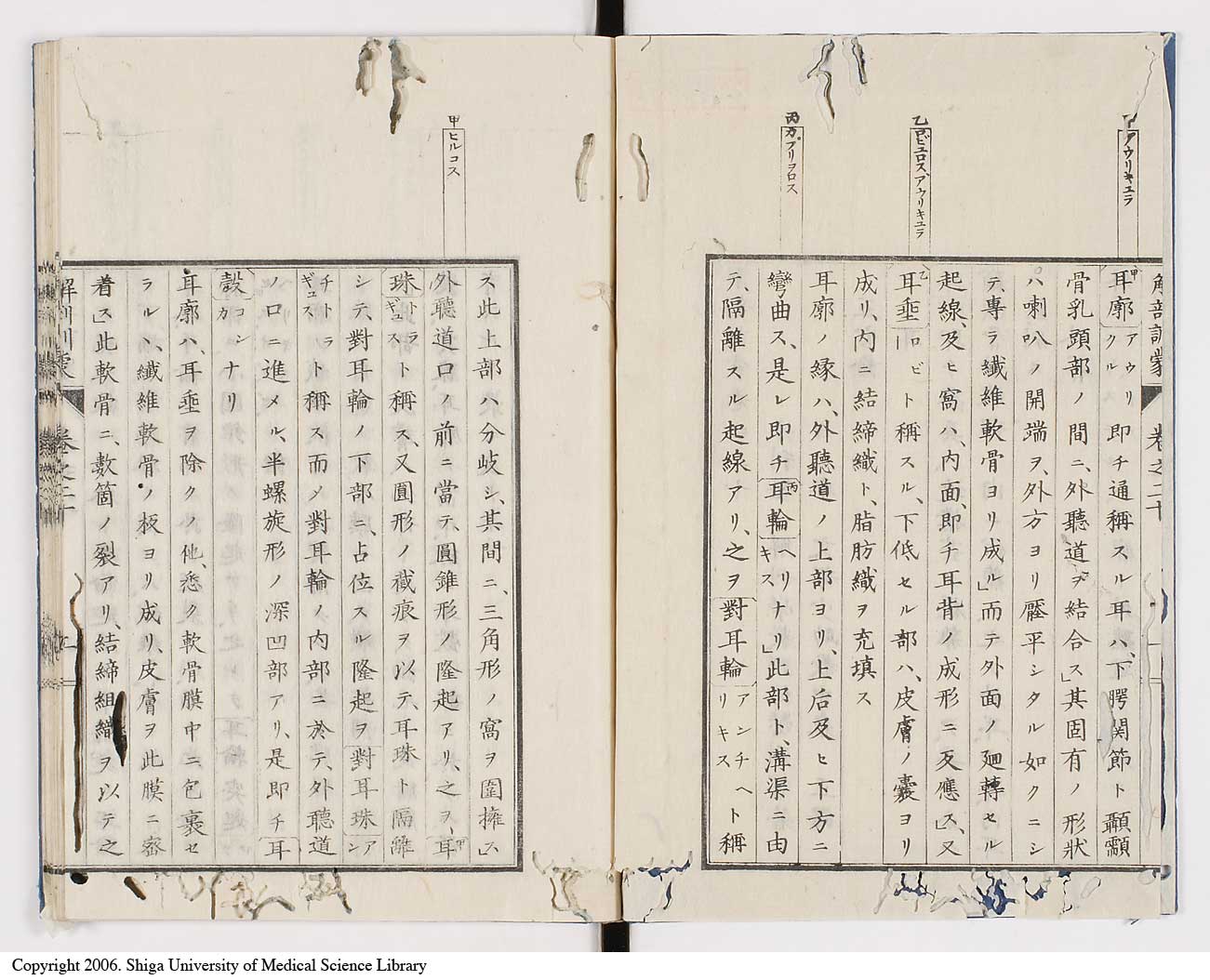 K0021l0646