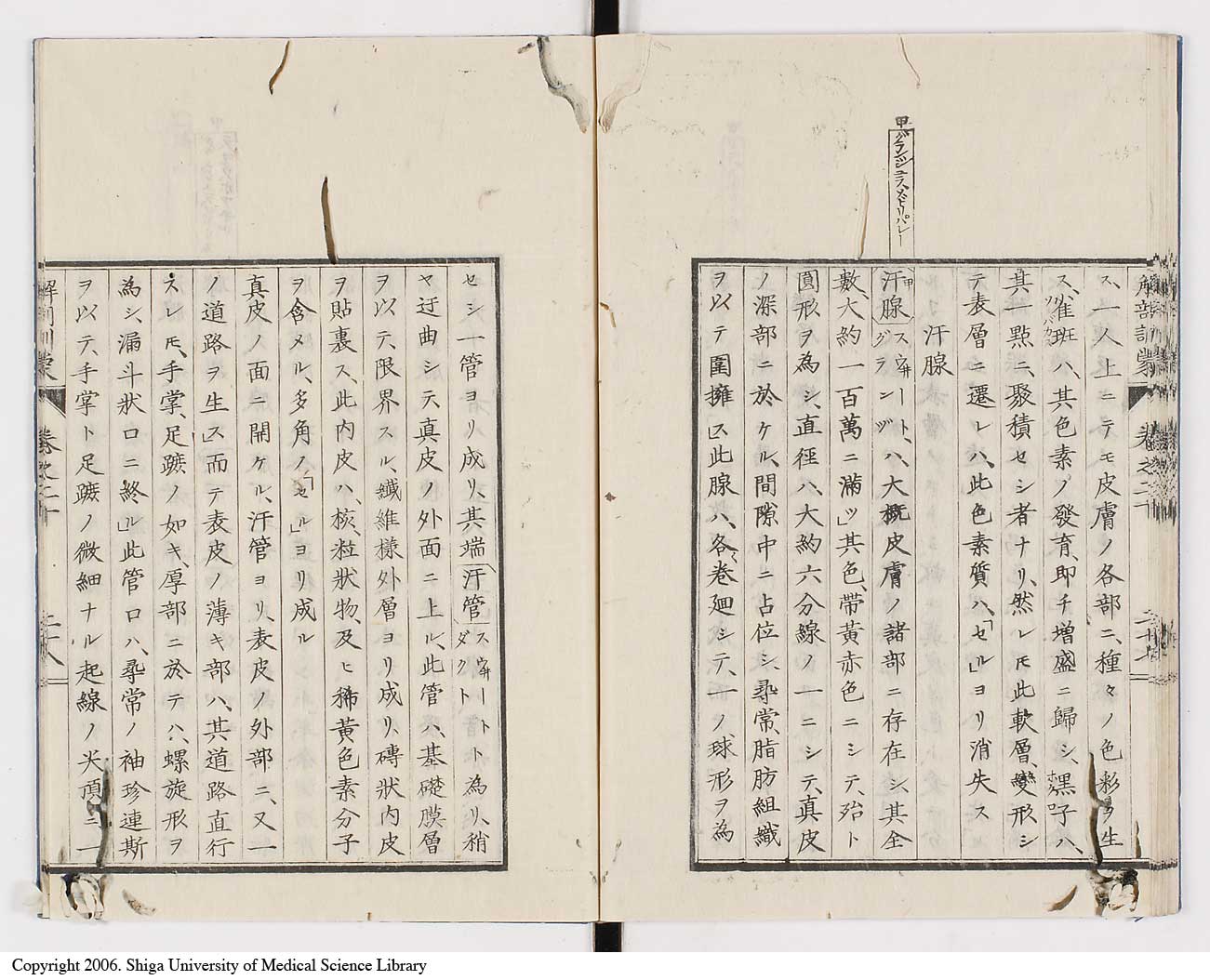 K0021l0672
