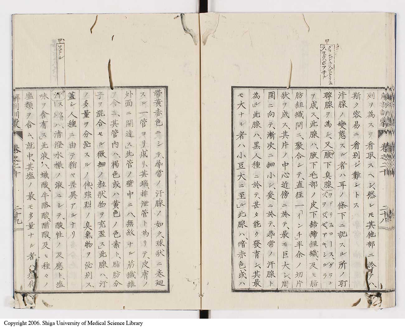 K0021l0673