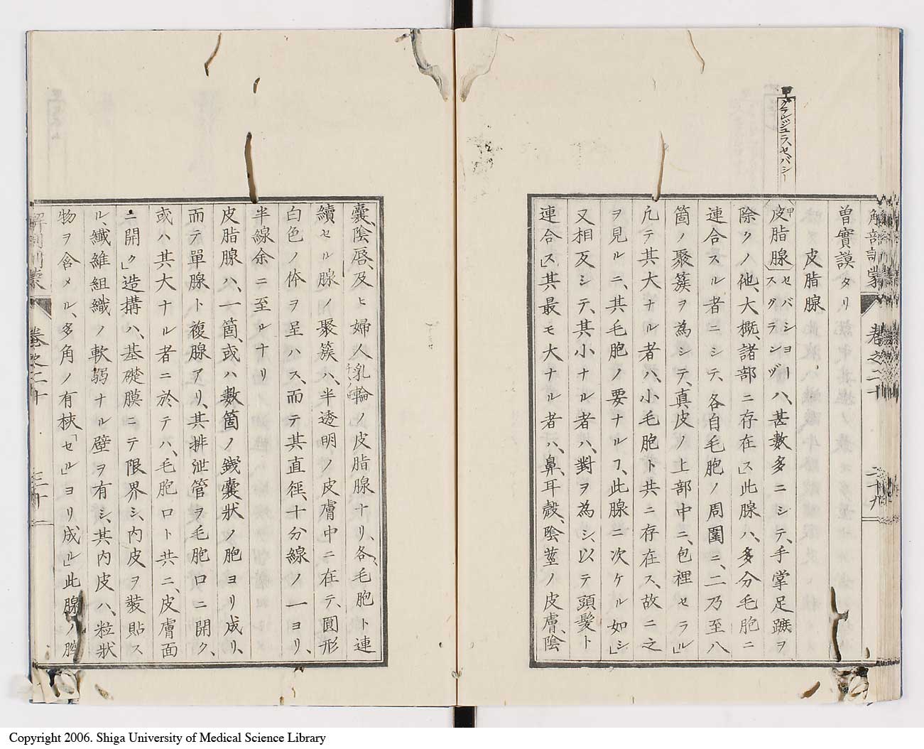 K0021l0674