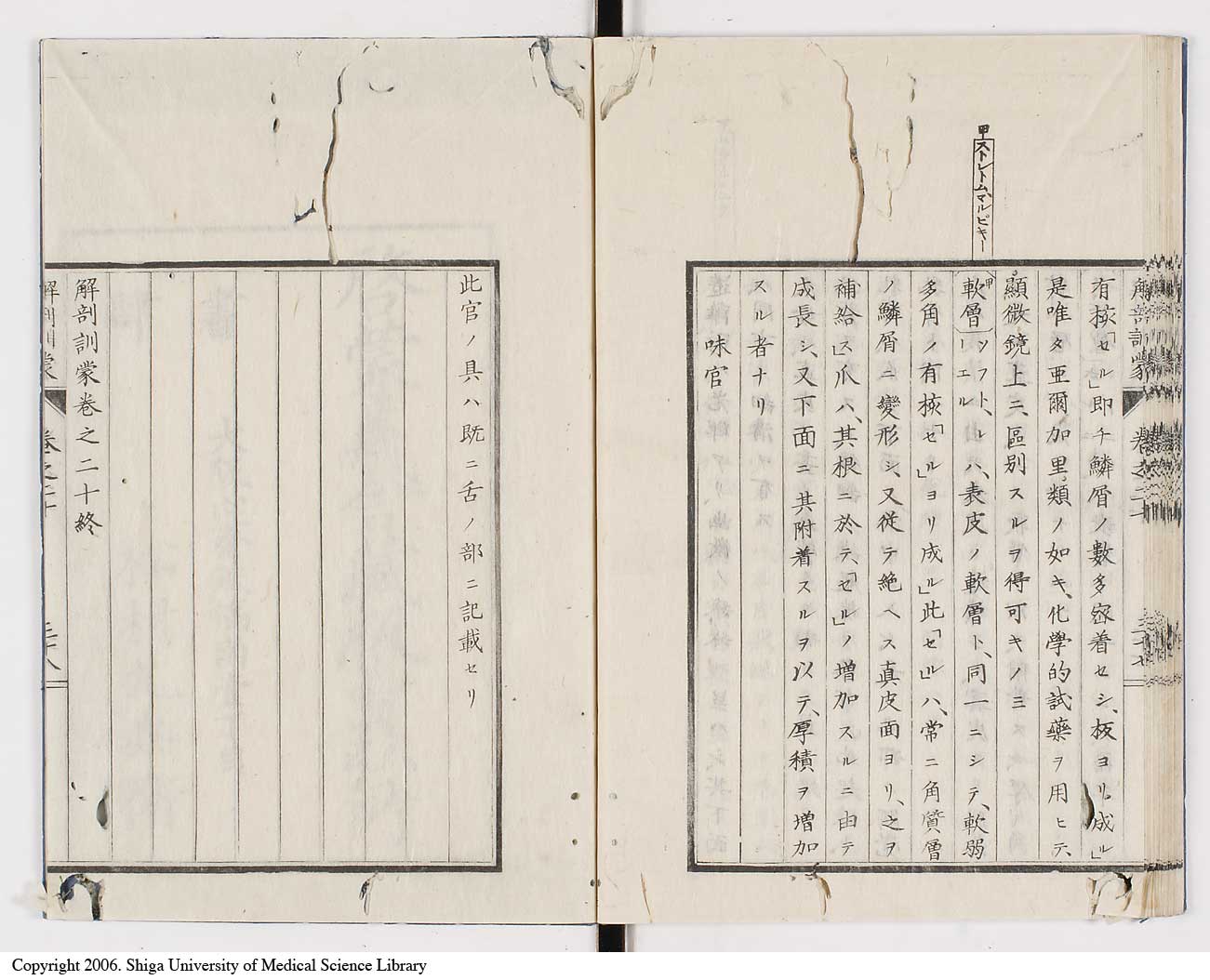 K0021l0682