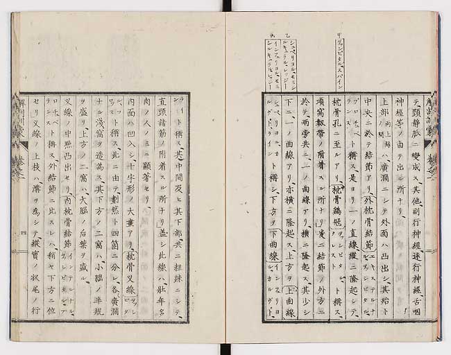 K0021s0013