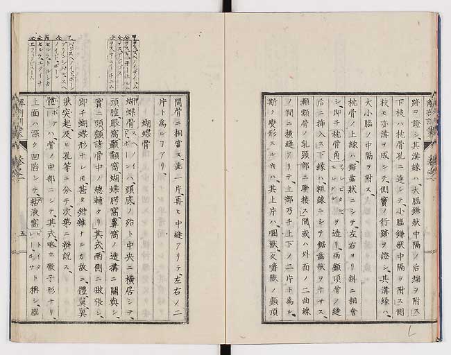K0021s0014