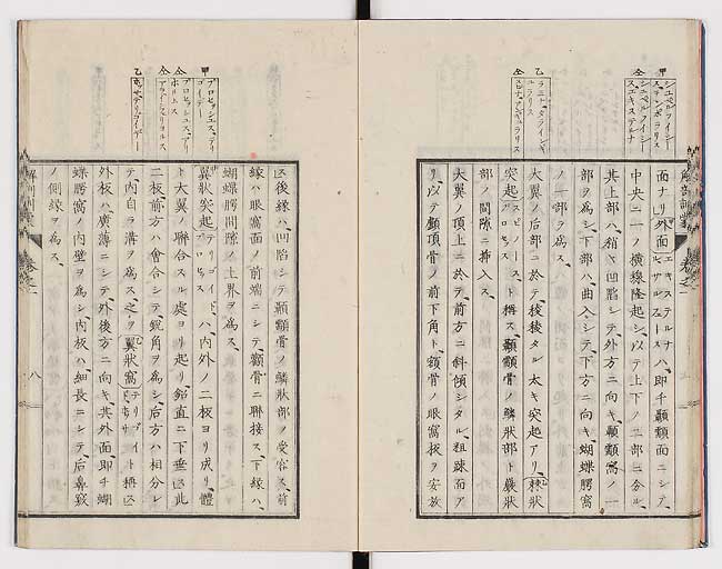 K0021s0017