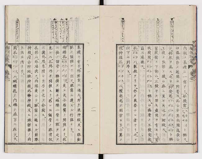K0021s0018