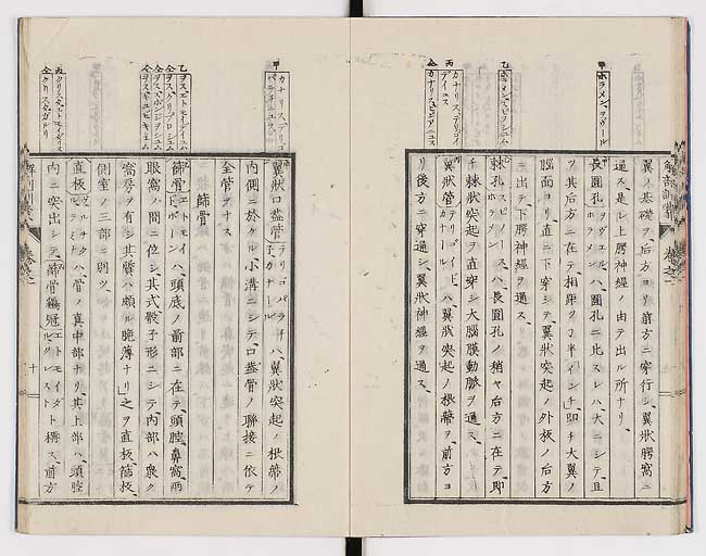 K0021s0019