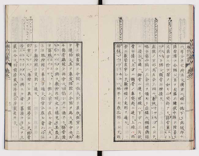 K0021s0020