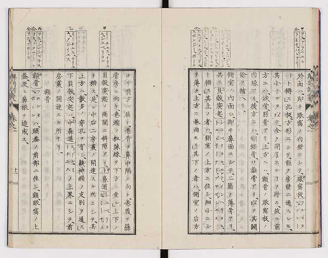 K0021s0021