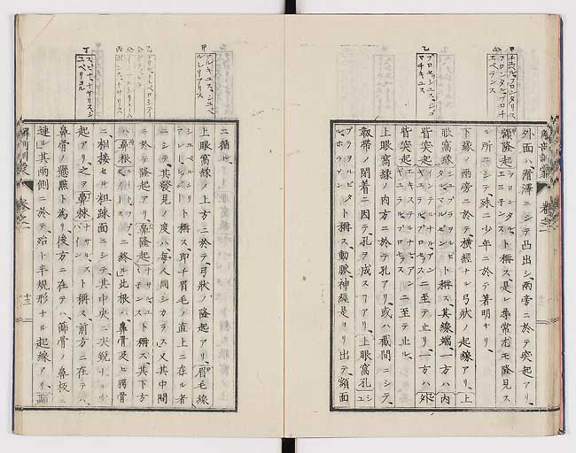 K0021s0022