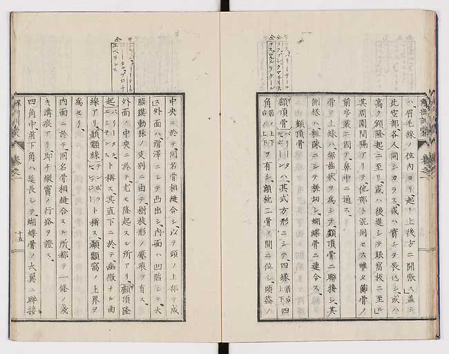 K0021s0024