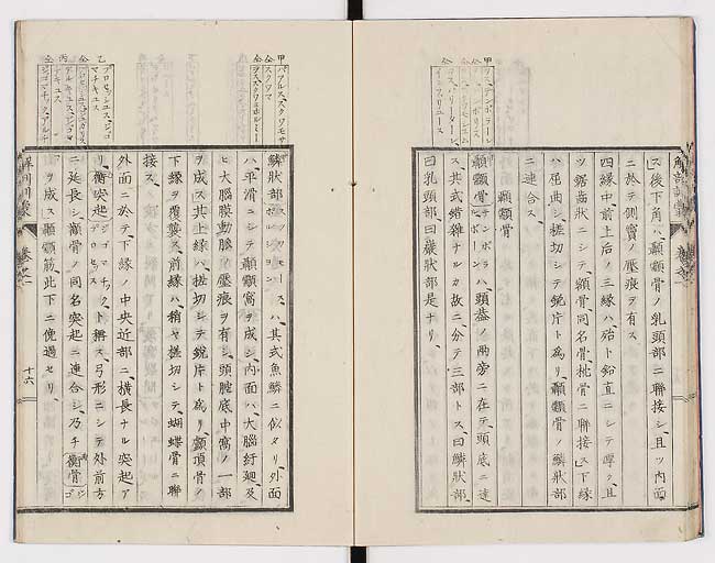 K0021s0025