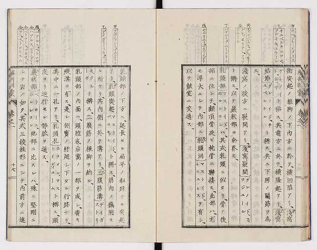 K0021s0026