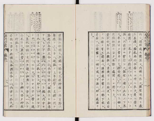 K0021s0027