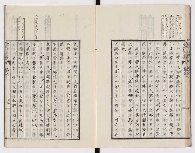 K0021s0028