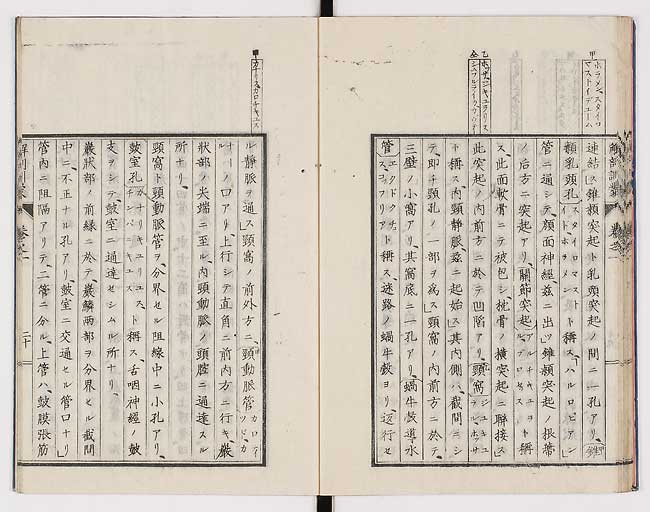 K0021s0029