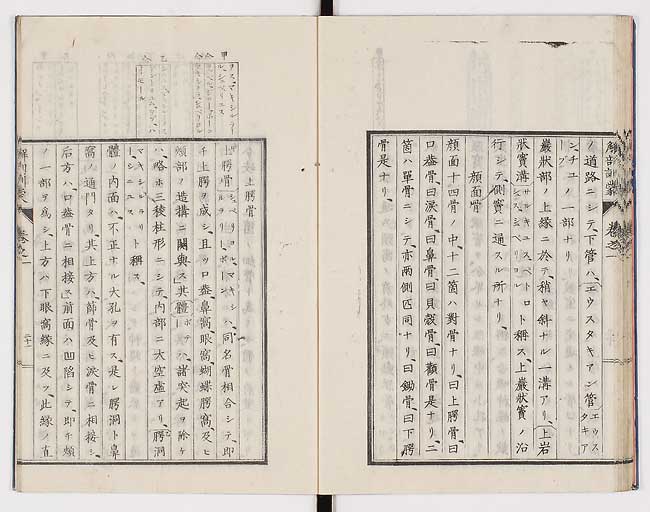 K0021s0030