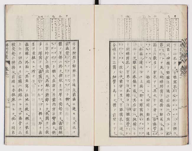 K0021s0031