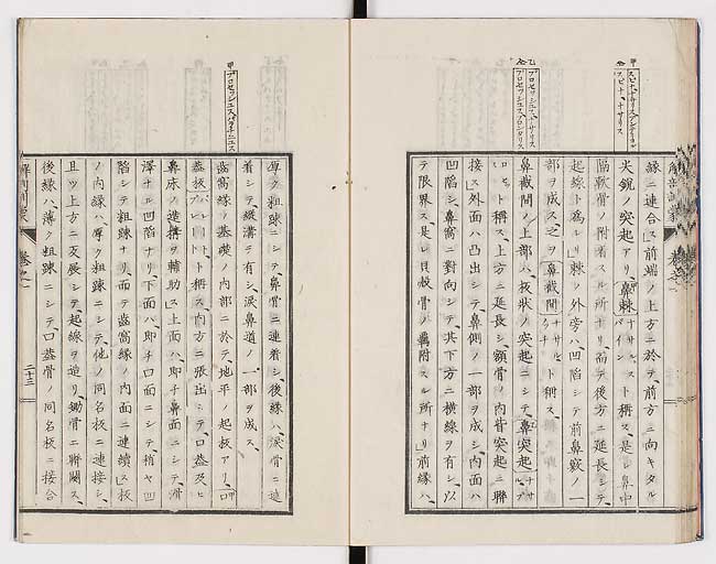 K0021s0032