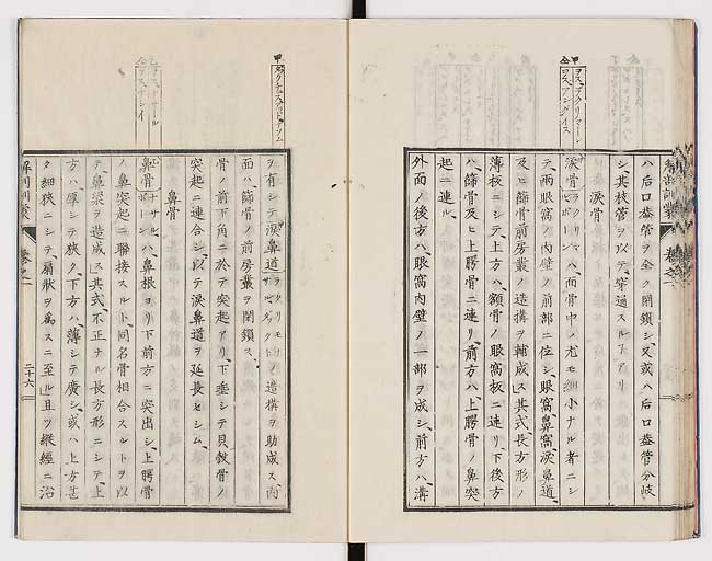 K0021s0035