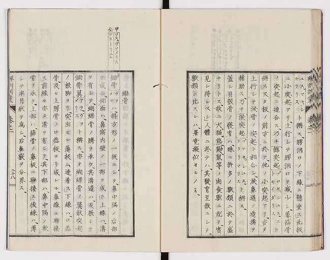 K0021s0037