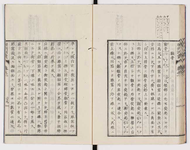 K0021s0038