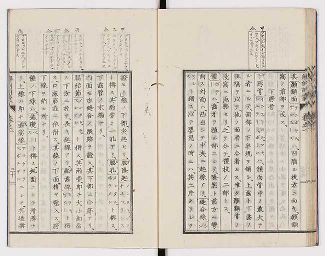 K0021s0039