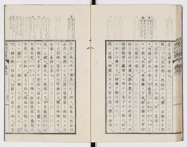 K0021s0040