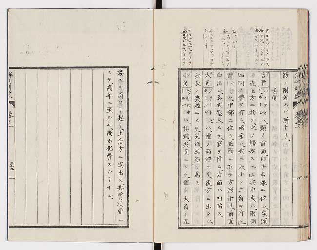 K0021s0041
