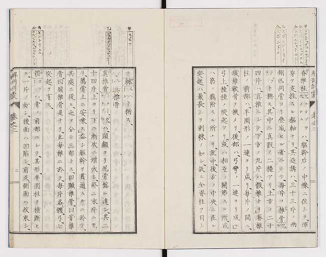 K0021s0046